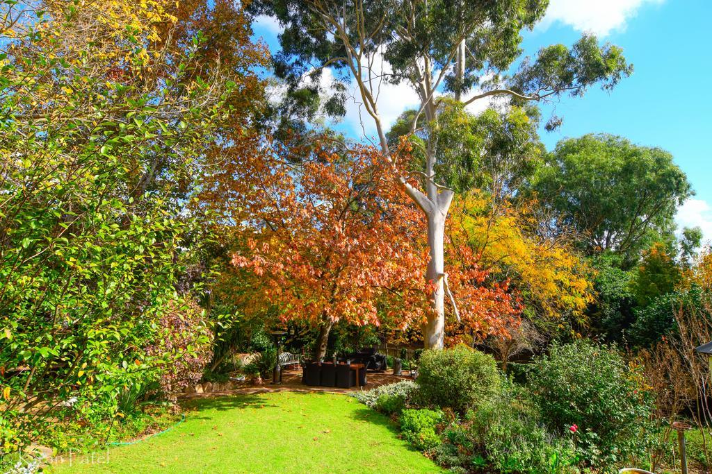 Possum Creek Lodge Gooseberry Hill Bagian luar foto