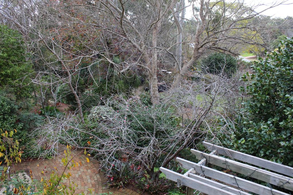 Possum Creek Lodge Gooseberry Hill Ruang foto