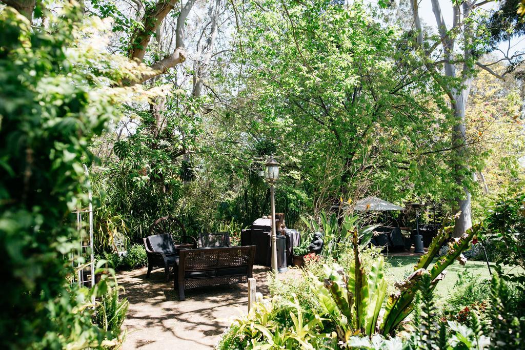 Possum Creek Lodge Gooseberry Hill Bagian luar foto